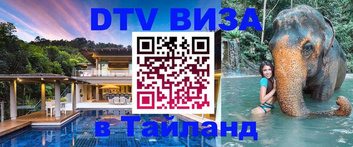 Сколько стоит DTV виза — актуальные цены, оформление даже без документов - Рубцовск 